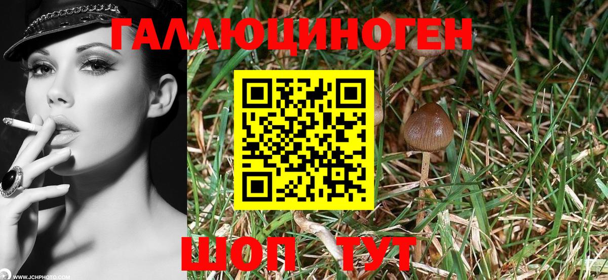 Галлюциногенные грибы Cubensis  Вход с VPN  Кострома  Псилоцибиновые грибы Magic Shrooms 