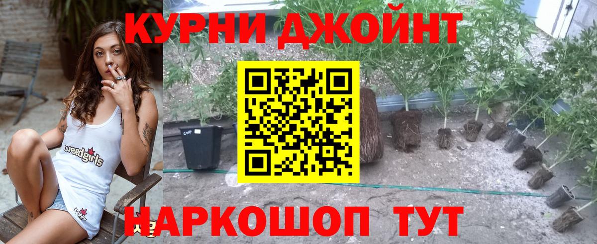 МАРИХУАНА THC 21%  Вход с VPN  Конопля White Widow  Кострома  Шишки марихуана план  Каннабис гибрид 